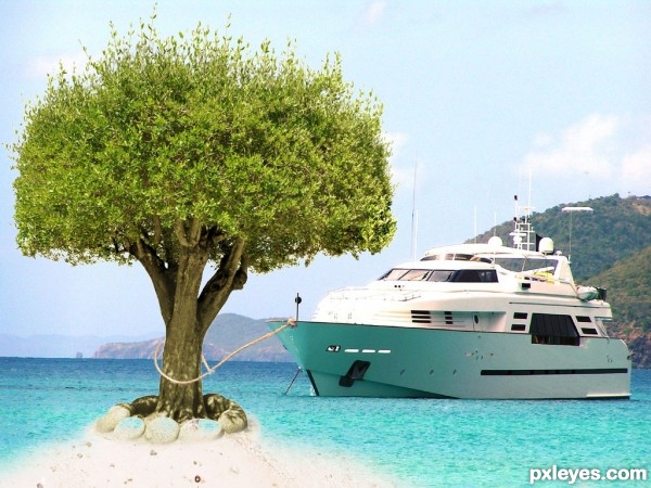 tree on island